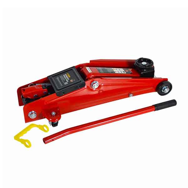 gata-lagarto-3-ton-taron